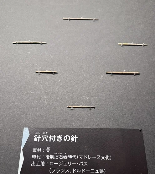 氷河期展