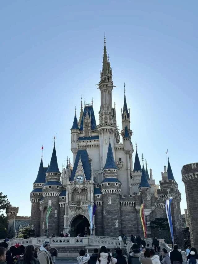 【ディズニーランド初心者＆久々さん向け】大混雑期のお正月子連れディズニー振り返り_1_1-1