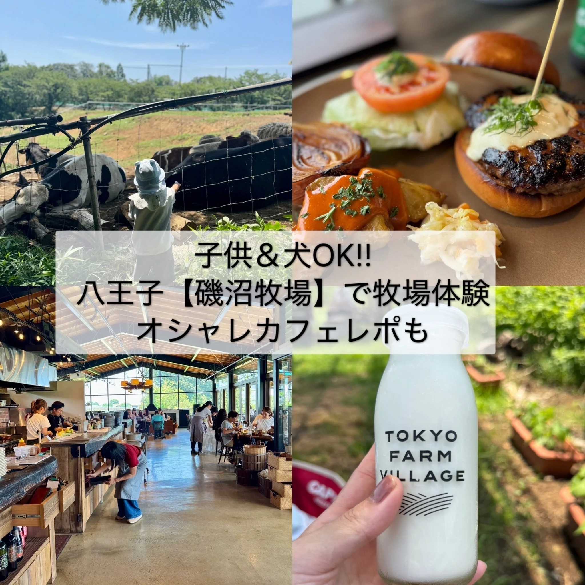 子供&amp;犬OK【八王子】磯沼牧場おしゃれカフェレポ