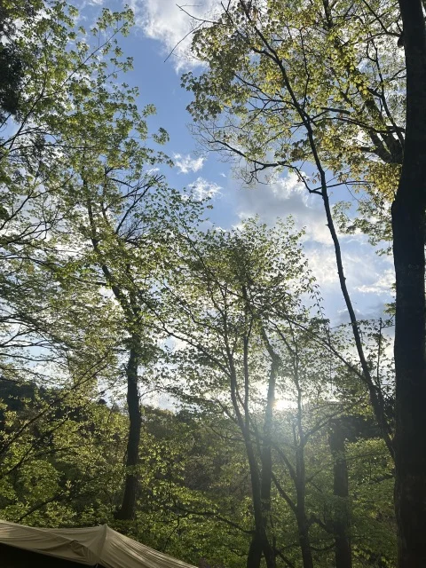 道志の森キャンプ場