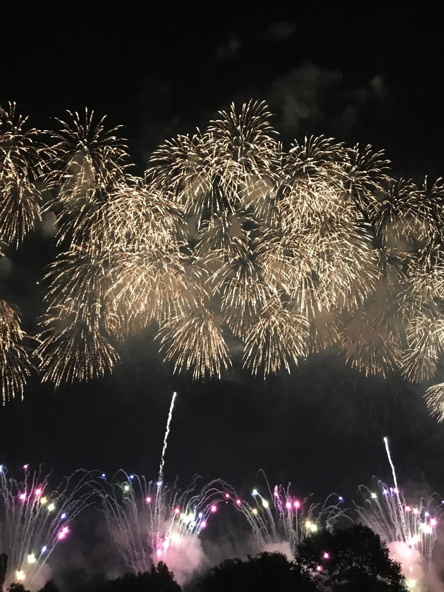 夜空に映える大迫力の【長岡花火】今年も最高でした！