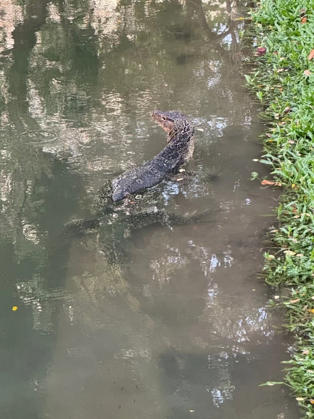 バンコク　ルンピニー公園