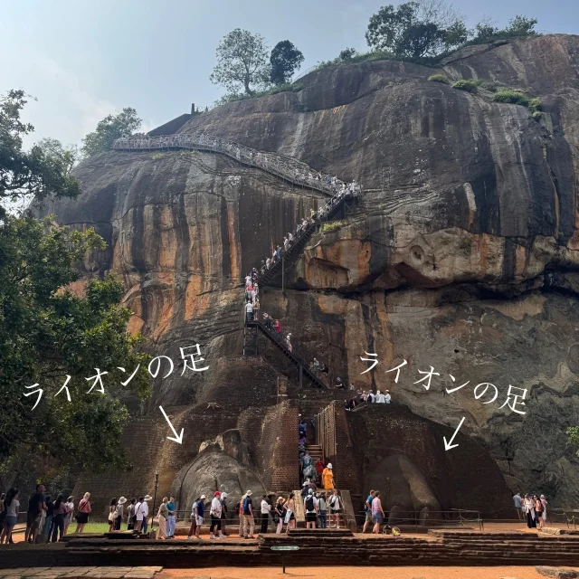 子連れで挑んだ、世界遺産シギリヤロック登頂！【スリランカ旅行①】_1_8