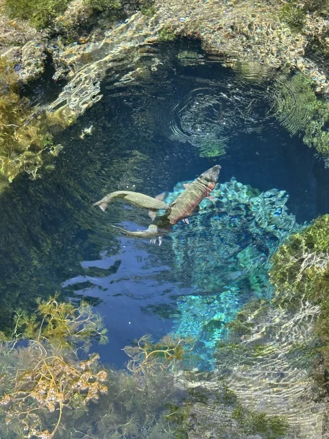 自然の絶景に心洗われる週末!山中湖リトリート!_1_5