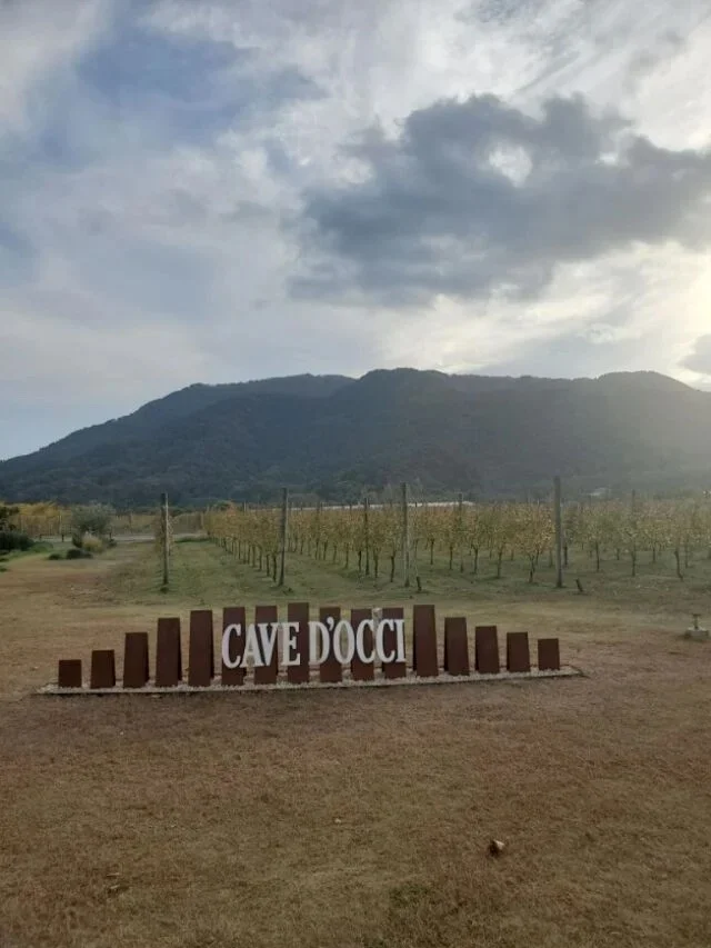 大人の冬旅まとめ。美女組が行ってよかった温泉・美食・海外_1_31-1