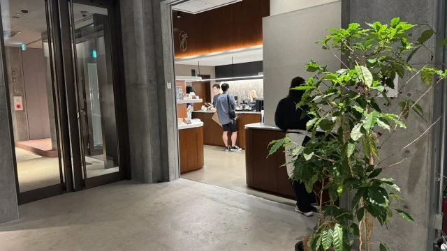 PHILOCOFFEA 表参道店