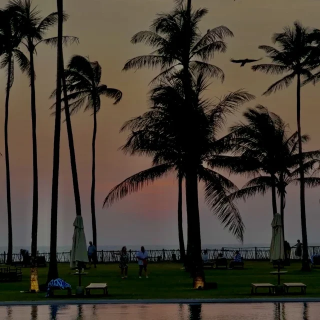 スリランカの巨匠、ジェフリー・バワの世界に泊まる。５つ星ホテル滞在記【スリランカ旅行③】」_1_4