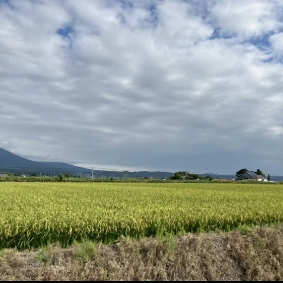 夏の北海道　家族旅 \3日目　富良野編/_1_3-1