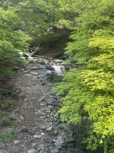 道志の森キャンプ場