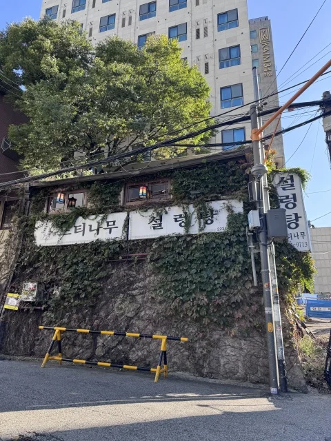 40代の初韓国！一泊二日弾丸でも大満喫できた友人とのソウル旅①～食べ歩き編～_1_4