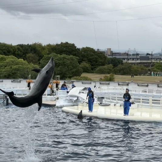 秋のお出掛けにもぴったりな京都水族館🦭_1_11