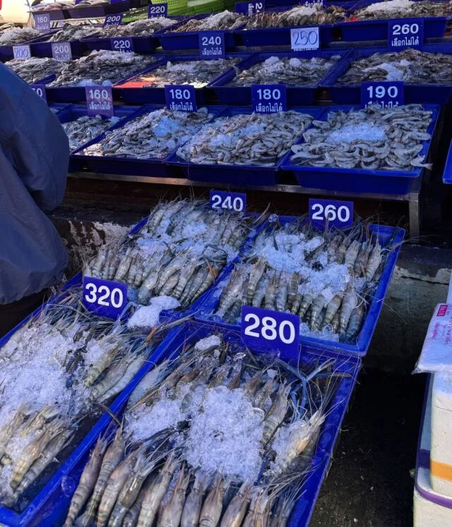 40代の初チェンマイ２日間ひとり旅｜カオソーイか否か、それが問題の【後編】_1_5