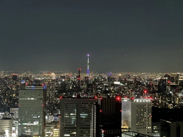 ニューヨークバー　　パークハイアット東京　ラグジュアリーホテル