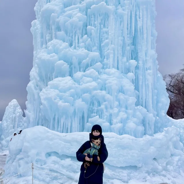 リアルアナ雪の世界へ！自然が織りなす芸術【氷濤 氷の美術館】_1_9