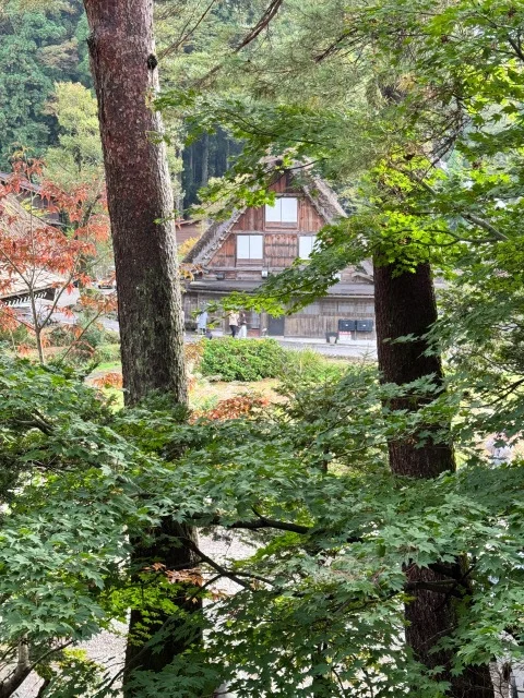 飛騨高山白川郷