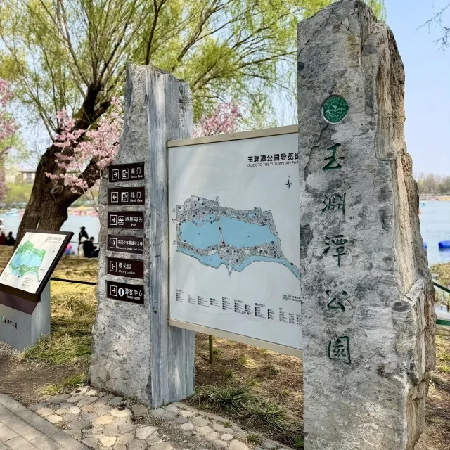 北京の春は一瞬！田中角栄首相が贈った桜に会いに「玉淵潭公園」へ_1_1