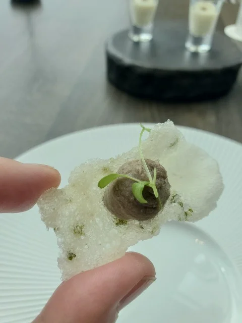 ランチコースKAZEのアペリティフ3種。食欲をそそる彩り豊かなひと口前菜