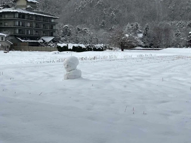 雪だるま発見！