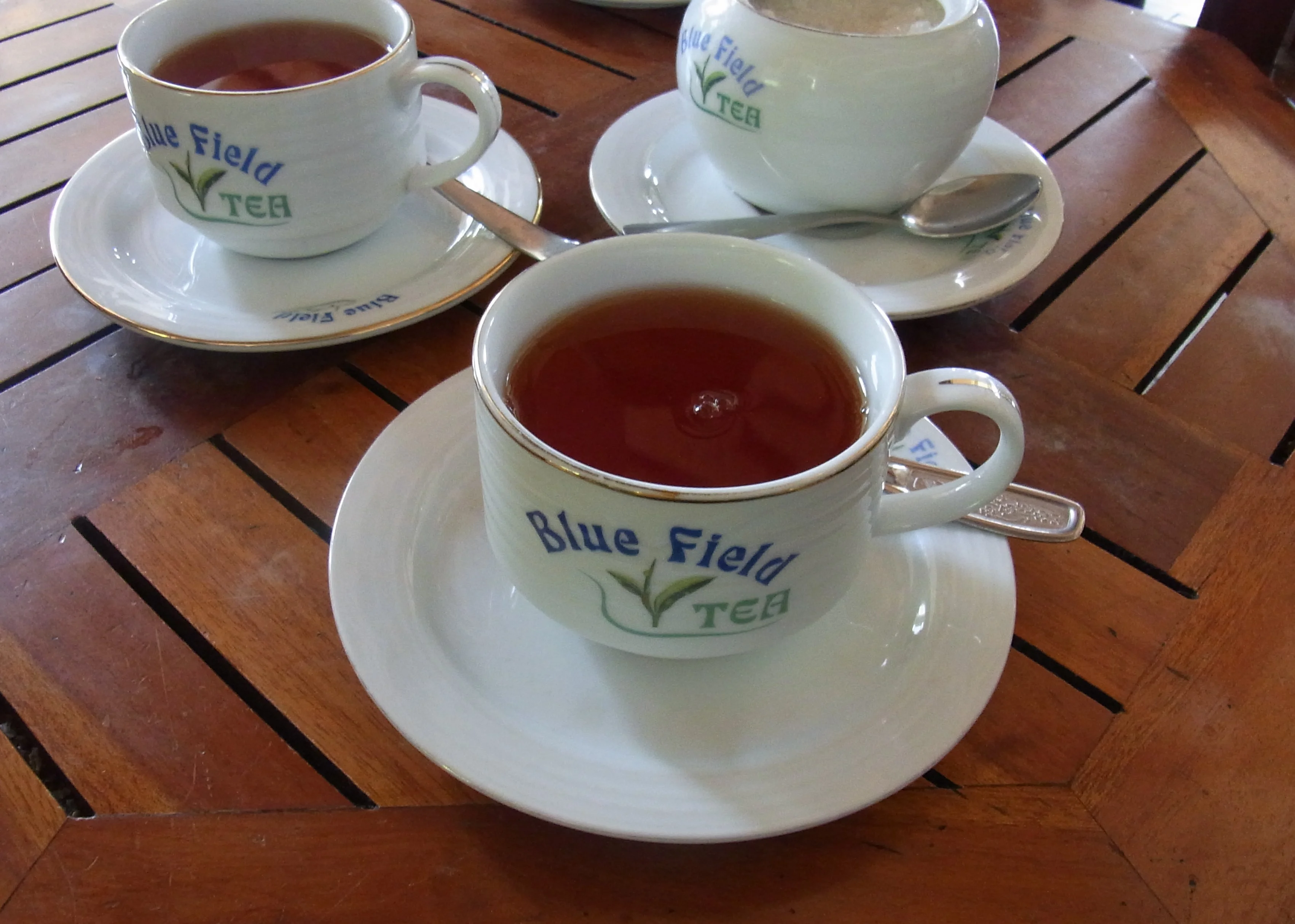 紅茶畑と工場＠スリランカ_1_9