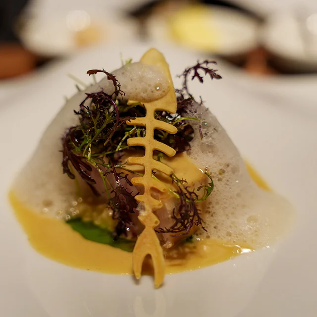 FURUYA augastronome　赤坂グルメ　フレンチ　フランス料理　女子会　お誕生会　接待会食