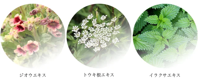 和漢植物を中心とした美容成分を配合