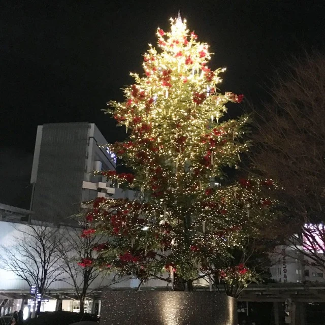 ヒルズのクリスマスツリー?
