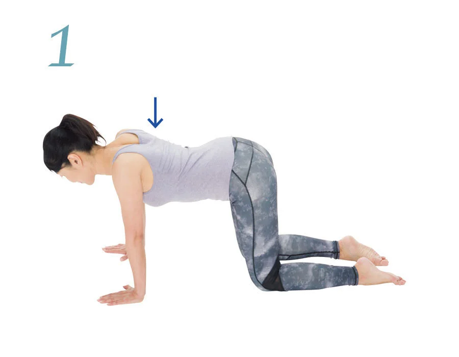 体幹と肩甲帯を別々に動かせるようにする２：肩甲骨の押し引きのやり方１