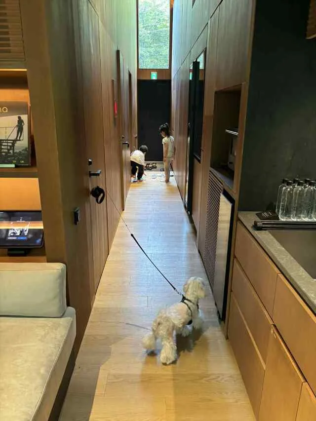 【NOT A HOTEL KITAKARUIZAWA〜旅行記①】想像を超えた感動体験_1_22-1