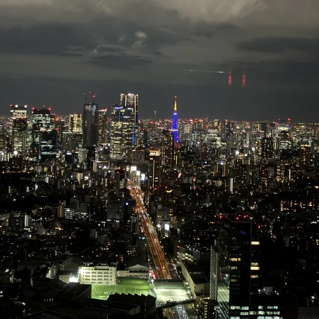 SHIBUYA SKY Sparkling Light Tree (スパークリングライトツリー)