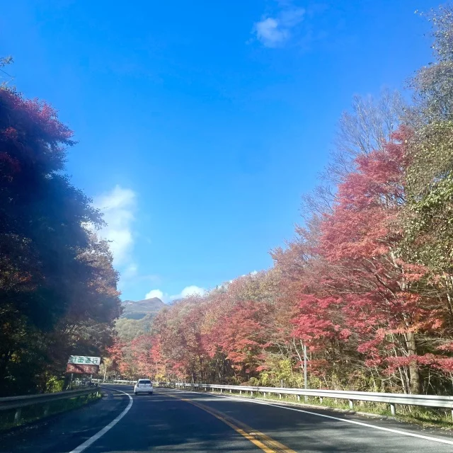 青空に紅葉の景色が秋らしい