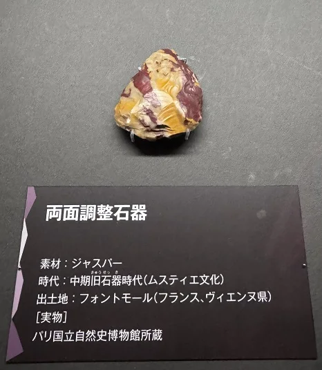 氷河期展