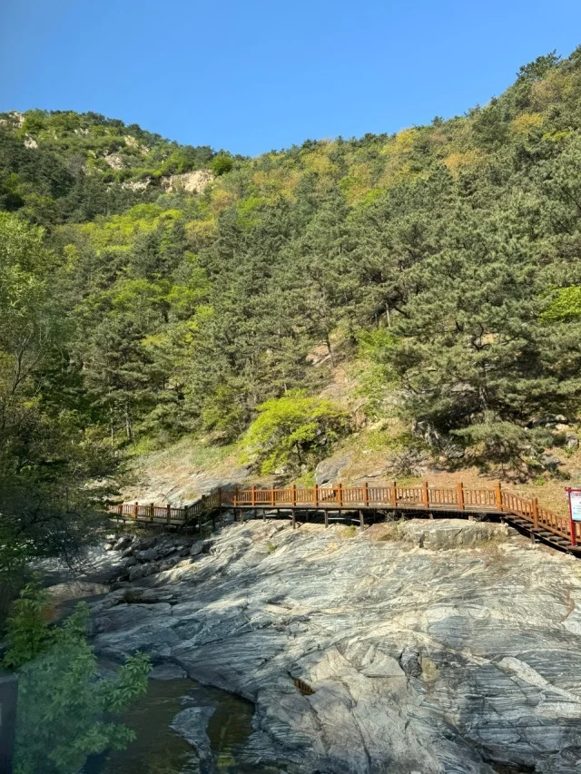 【山東省旅行】歴代中国皇帝が登った聖なる山、世界遺産・泰山をハイキング_1_7