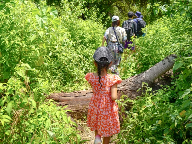アヤナコモド コモド国立公園ツアー