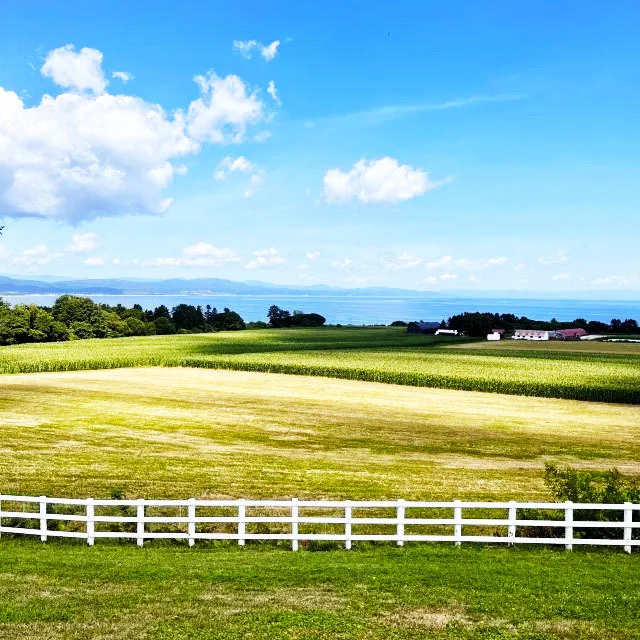 秋の週末旅にぴったり！ 北海道・東北・四国・九州で楽しむ絶景＆グルメ旅