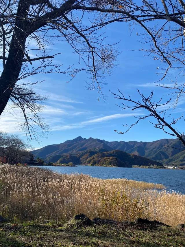 大好きな富士山と河口湖の紅葉狩りの旅へ_1_6