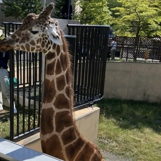 夏の北海道　家族旅 \2日目　旭川編/_1_2-3