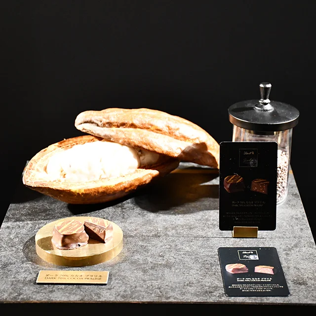 Lindt(リンツ）スイス発チョコレートブランド　プラリネ　メルティーショコラティエ　フランスのチョコレート職人　特別販売　期間限定のチョコレートギフト　手土産セレクション　パーティーのお取り寄せ