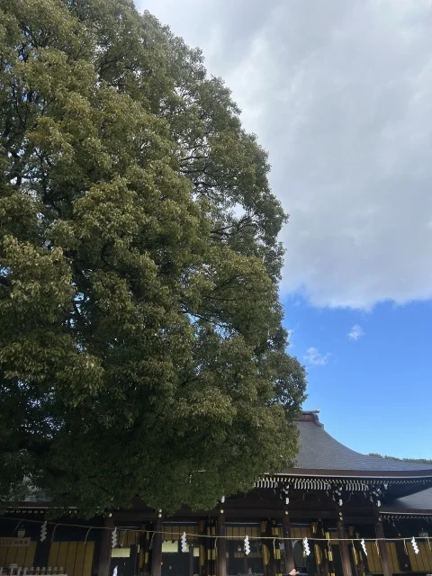 初詣は「キレイ色コーデ」で運気UPと表参道ランチ_1_5-1