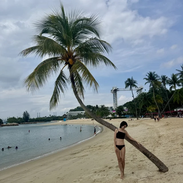 日焼けして手に入れた、新しい習慣！2026年の目標など_1_1