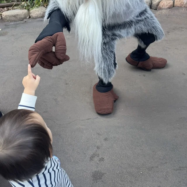 元ダッフィー推しママ。2歳息子とミラコスタご褒美旅_1_9-3