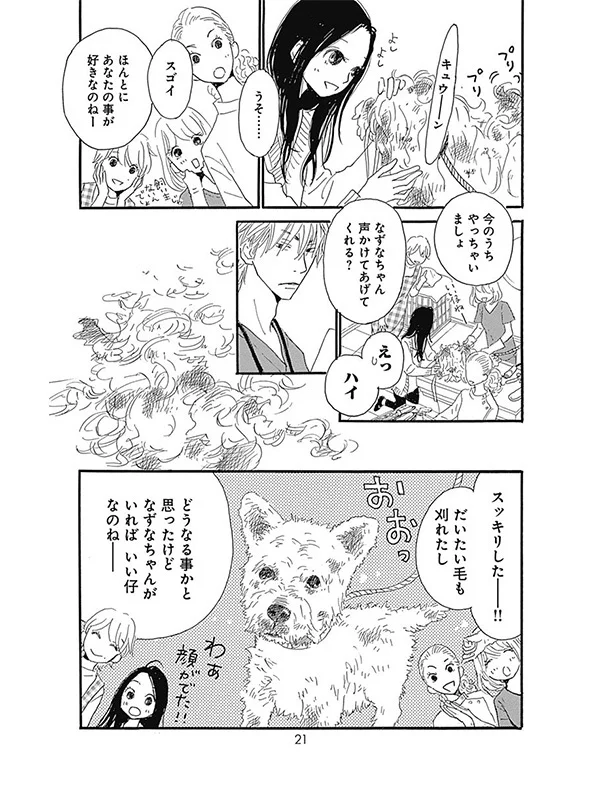 犬派も猫派も必見！じんわりしみる『路地裏しっぽ診療所』 【パクチー先輩の漫画日記 #20】_1_1-19