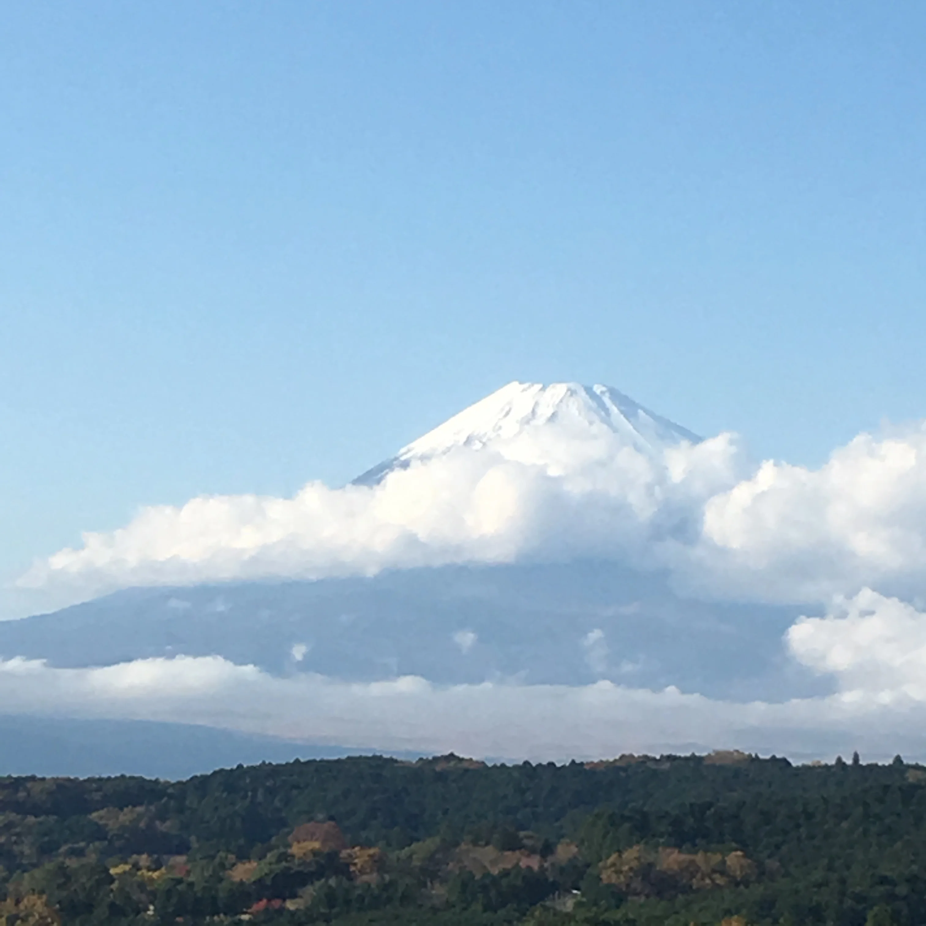 沼津御用邸記念公園〜沼津倶楽部〜日本最長400mの三島大吊橋で富士山を望む