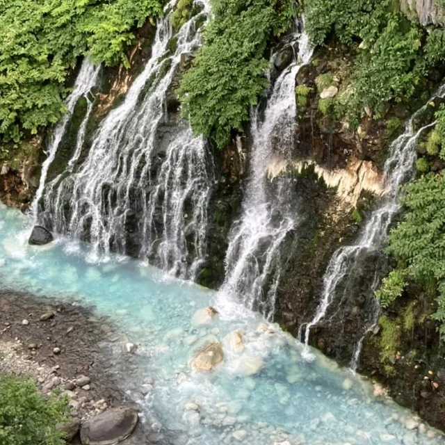 夏の北海道　家族旅 \3日目　富良野編/_1_2-3