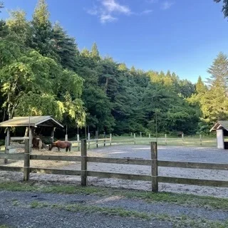 秋の週末旅にぴったり！ 北海道・東北・四国・九州で楽しむ絶景＆グルメ旅_1_16-3