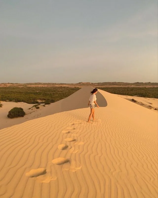 ムイネー　砂漠　white sand dune