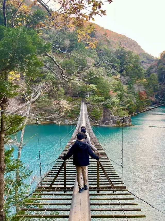 山中に突如現れる絶景スポット！一度は行ってみたい｢夢のつり橋」を渡ってきました。_1_2