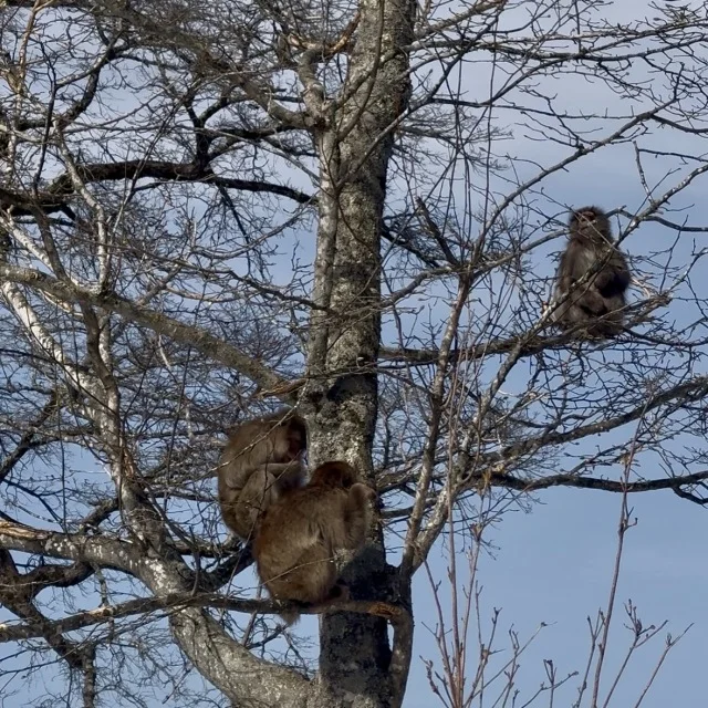 親子で楽しめる♪ザ・リッツ・カールトン日光の旅①〜リッツ・キッズ編〜_1_8-1