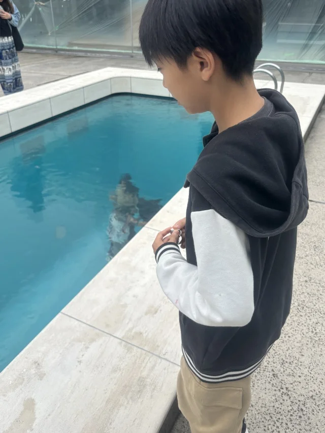 プールは上から覗いてみました。
