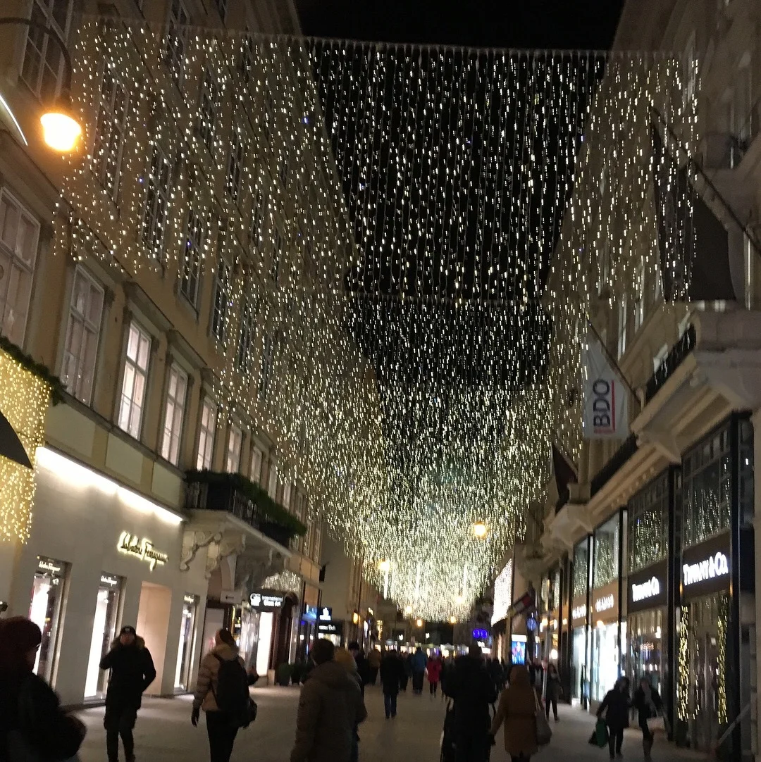 ウィーンのクリスマスマーケット_1_3