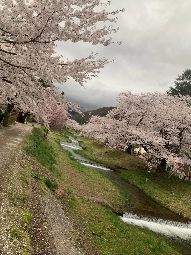 福島県でおすすめの『桜の名所』②